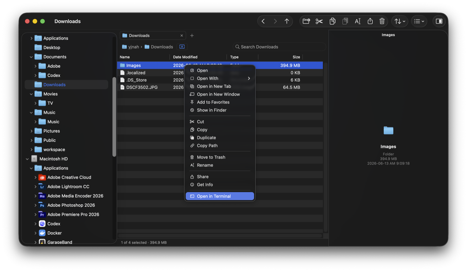 Explorer for Mac context menu with Cut, Copy, Duplicate, Rename, Copy Path, and Open in Terminal