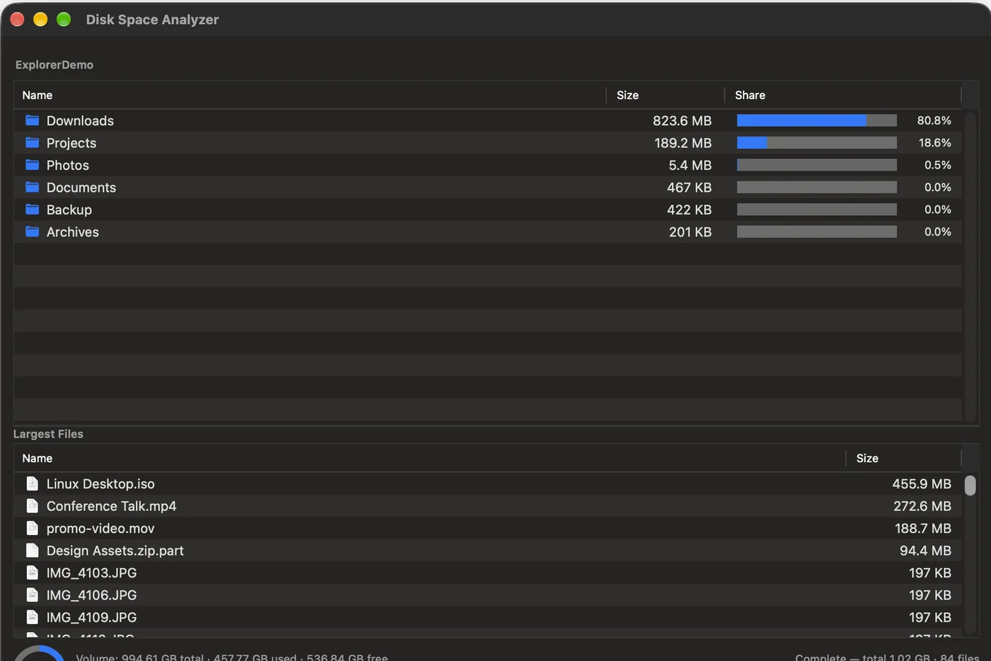 Disk Space Analyzer listing subfolders by size with share bars, and the largest files below
